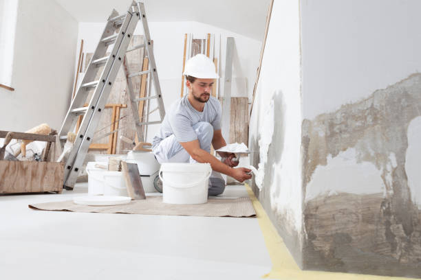 Best Custom Drywall Designs  in Ntgomery City, MO